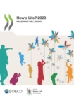 How's Life? 2020 Measuring Well-being - eBook