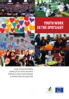 Youth work in the spotlight - eBook