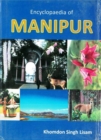 Encyclopaedia of Manipur - eBook