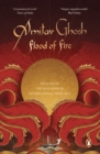 Flood of Fire - eBook