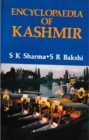 Encyclopaedia of Kashmir (Nehru and Kashmir) - eBook