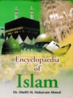 Encyclopaedia Of Islam (Women In Islam) - eBook
