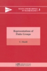 Representations of Finite Groups - eBook