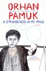 A Strangeness in My Mind : A Novel - eBook