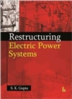 Restructuring Electric Power Systems - Book