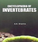 Encyclopaedia Of Invertebrates - eBook