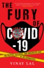 The Fury of COVID-19 : The Politics, Histories, and Unrequited Love of the Coronavirus - eBook