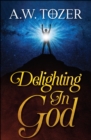 Delighting in God - eBook
