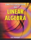 Encyclopaedia of Linear Algebra - eBook