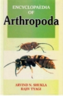 Encyclopaedia of Arthropoda (Developmental Biology Arthropods) - eBook
