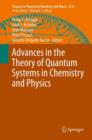 Advances in the Theory of Quantum Systems in Chemistry and Physics - eBook