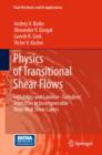 Physics of Transitional Shear Flows : Instability and Laminar-Turbulent Transition in Incompressible Near-Wall Shear Layers - eBook