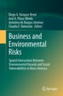 Business and Environmental Risks : Spatial Interactions Between Environmental Hazards and Social Vulnerabilities in Ibero-America - eBook