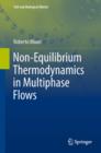 Non-Equilibrium Thermodynamics in Multiphase Flows - eBook