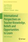International Perspectives on Teacher Knowledge, Beliefs and Opportunities to Learn : TEDS-M Results - eBook