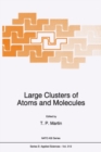 Large Clusters of Atoms and Molecules - eBook