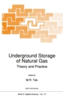 Underground Storage of Natural Gas : Theory and Practice - eBook