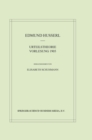 Urteilstheorie Vorlesung 1905 - eBook