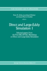 Direct and Large-Eddy Simulation I : Selected papers from the First ERCOFTAC Workshop on Direct and Large-Eddy Simulation - eBook