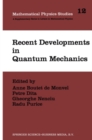 Recent Developments in Quantum Mechanics : Proceedings of the Brasov Conference, Poiana Brasov 1989, Romania - eBook