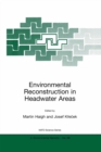 Environmental Reconstruction in Headwater Areas - eBook
