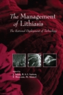 The Management of Lithiasis : The Rational Deployment of Technology - eBook