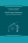 Particle Image Velocimetry : Progress Towards Industrial Application - eBook