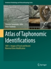 Atlas of Taphonomic Identifications : 1001+ Images of Fossil and Recent Mammal Bone Modification - eBook