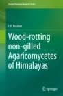 Wood-rotting non-gilled Agaricomycetes of Himalayas - eBook