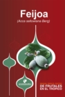 Manual para el cultivo de frutales en el tropico: Feijoa - eBook