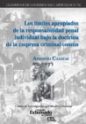 Los limites apropiados de la responsabilidad penal individual bajo la doctrina de la empresa criminal comun - eBook