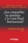 Son compatibles las amnistias y la Corte Penal Internacional? - eBook