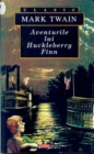Aventurile lui Huckleberry Finn - eBook