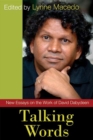 Talking Words : New Essays on the Work of David Dabydeen - Book