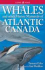 Whales and Other Marine Mammals of the East Coast - Book