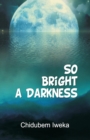 So Bright a Darkness - eBook