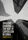 Shadow Banking and the Rise of Capitalism in China - eBook