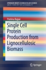 Single Cell Protein Production from Lignocellulosic Biomass - Book