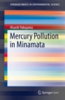 Mercury Pollution in Minamata - eBook