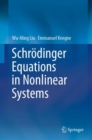 Schrodinger Equations in Nonlinear Systems - eBook
