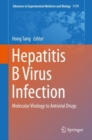 Hepatitis B Virus Infection : Molecular Virology to Antiviral Drugs - Book