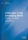 Child Labor in the Developing World : Theory, Practice and Policy - eBook