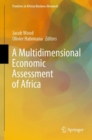 A Multidimensional Economic Assessment of Africa - eBook