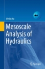 Mesoscale Analysis of Hydraulics - Book
