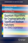 Quantum Algorithms for Cryptographically Significant Boolean Functions : An IBMQ Experience - eBook