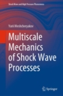 Multiscale Mechanics of Shock Wave Processes - eBook