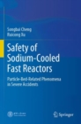 Safety of Sodium-Cooled Fast Reactors : Particle-Bed-Related Phenomena in Severe Accidents - Book