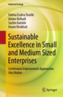 Sustainable Excellence in Small and Medium Sized Enterprises : Continuous Improvement Approaches that Matter - eBook