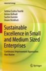 Sustainable Excellence in Small and Medium Sized Enterprises : Continuous Improvement Approaches that Matter - Book