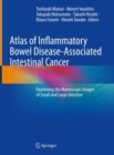 Atlas of Inflammatory Bowel Disease-Associated Intestinal Cancer : Examining the Macroscopic Images of Small and Large Intestine - Book